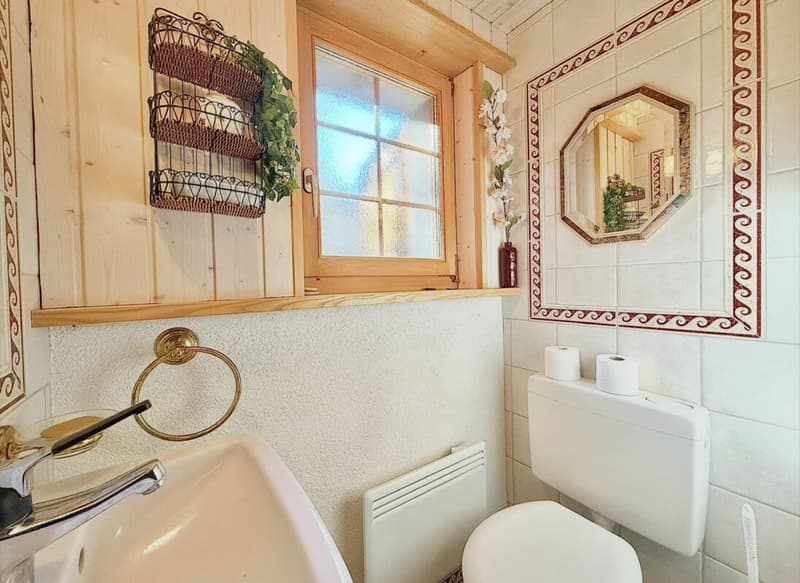 Chalet de 4,5 pièces avec 5245m2 de terrain (27)