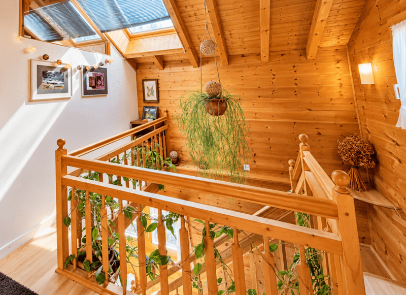 Chalet de 4,5 pièces avec 5245m2 de terrain (13)