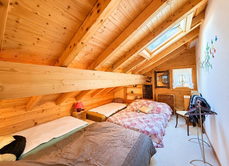 Chalet de 4,5 pièces avec 5245m2 de terrain (22)