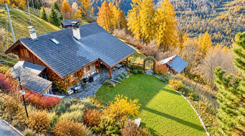 Chalet de 4,5 pièces avec 5245m2 de terrain (6)