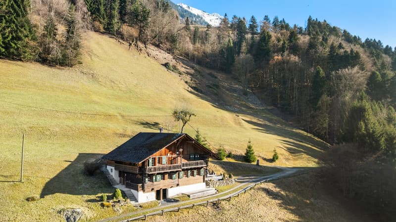 Un chalet de caractère au cœur d’un écrin naturel (1)