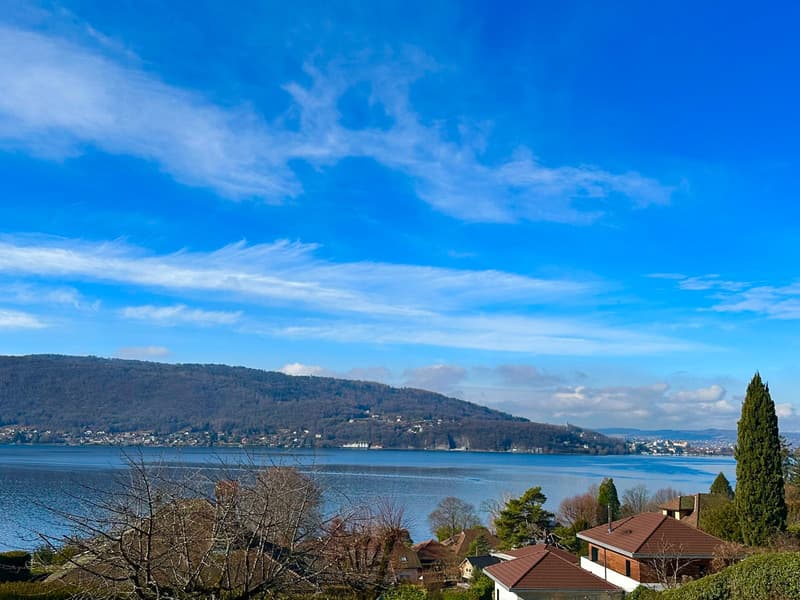 Appartement Refait Neuf Avec Grande Terrasse Vue Lac appartement-refait-neuf-avec-grande-terrasse-vue-lac