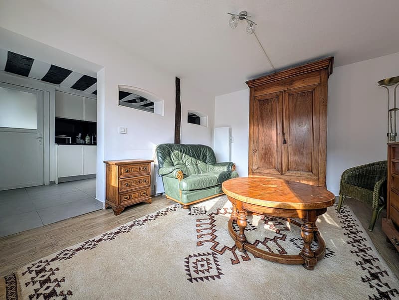 A VENDRE - MAISON DE VILLAGE SANS EXTERIEUR - CESSY (13)