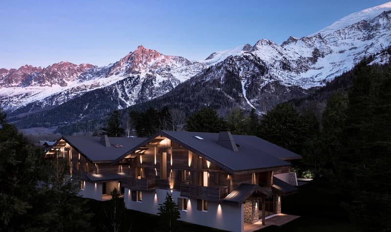 Chalet de haut standing au pied du Mont-Blanc. (2)