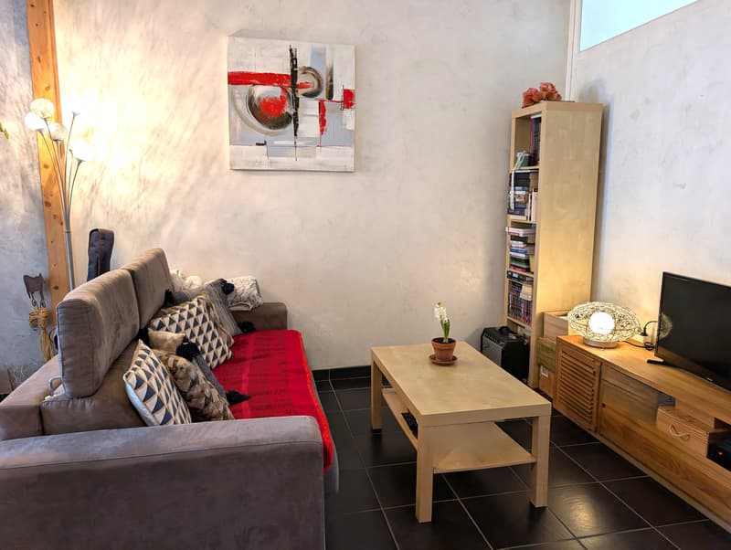 Grenoble centre, T2 rénové de 44m2 avec balcon et cave (4)