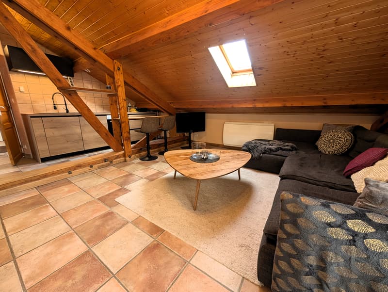 Appartement T1 bis avec place de parking Péron (4)