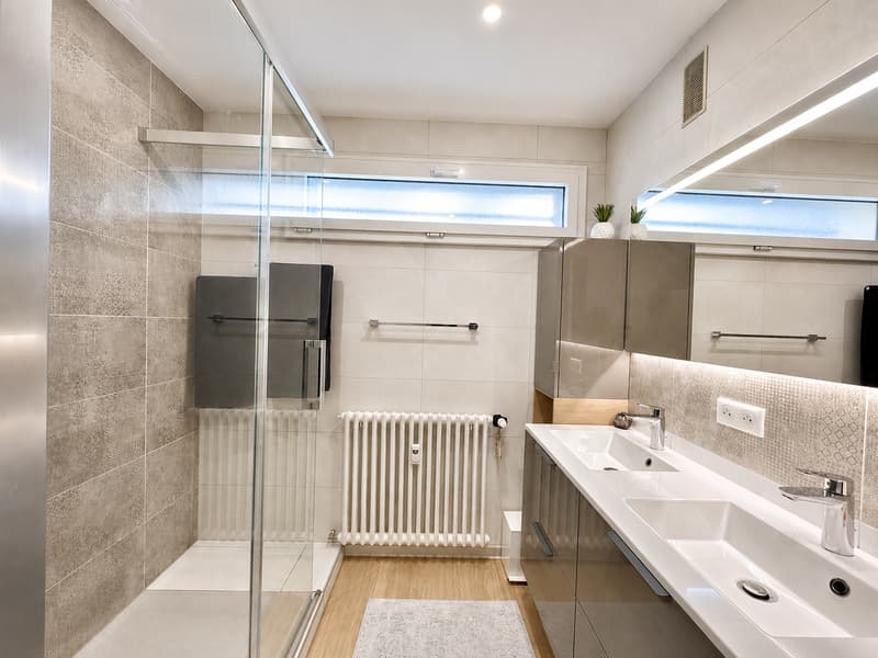 Appartement entièrement rénové de 80 m²   Triangle d'Or d'Annecy (9)