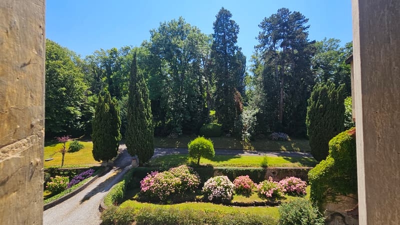 Une adresse confidentielle face au Léman... (3)