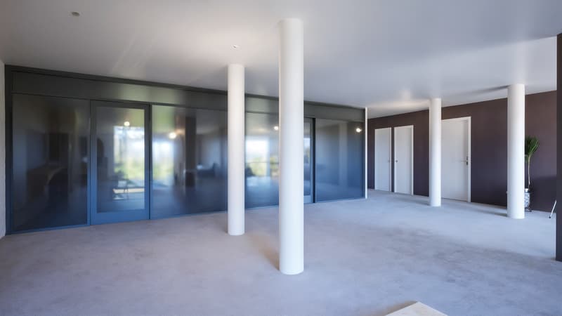 À Vendre : Local d'activité de 173,7 m² - Saint-Genis-Pouilly (4)