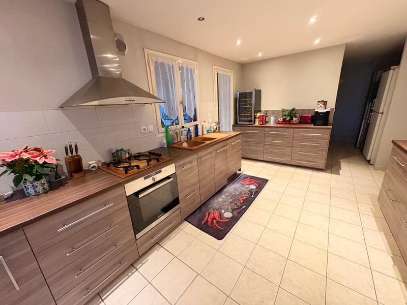 Propriété Multifonctionnelle avec Local Commercial, ENTREPOT, Garages et Partie Habitable Proche Divonne-les (8)