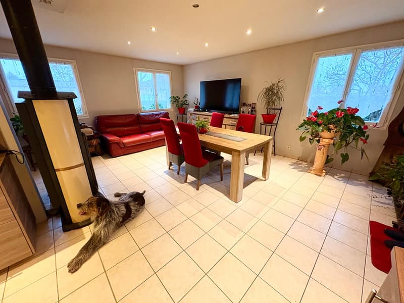 Propriété Multifonctionnelle avec Local Commercial, ENTREPOT, Garages et Partie Habitable Proche Divonne-les (6)