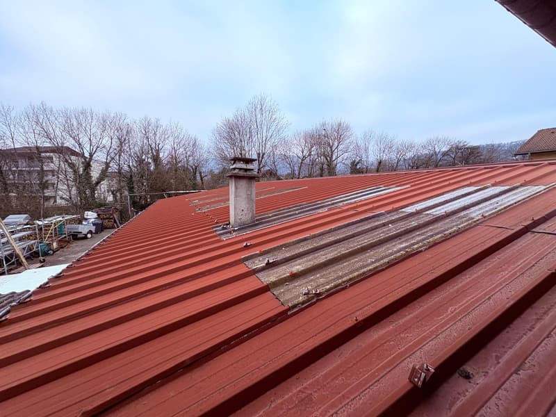 Propriété Multifonctionnelle avec Local Commercial, ENTREPOT, Garages et Partie Habitable Proche Divonne-les (3)