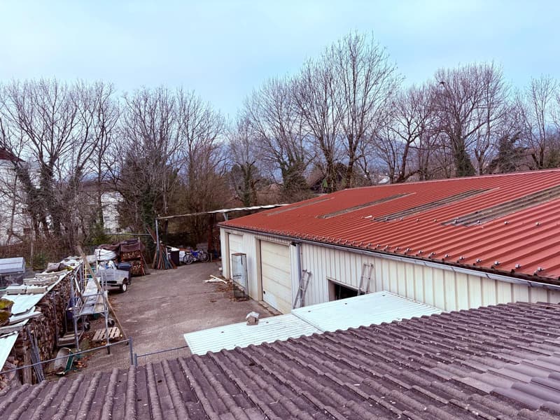 Propriété Multifonctionnelle avec Local Commercial, ENTREPOT, Garages et Partie Habitable Proche Divonne-les (2)