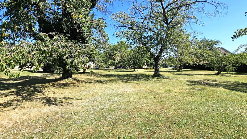 952m2 de terrain à bâtir pour 1 ou 2 maisons (7)