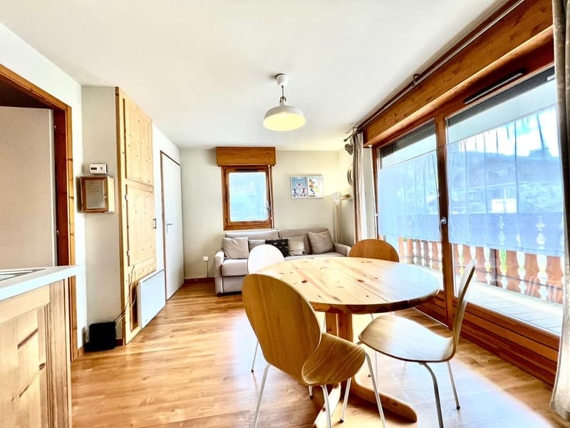 Appartement meublé aux Gets (8)
