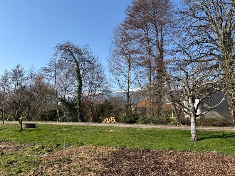 Terrain à bâtir (1)