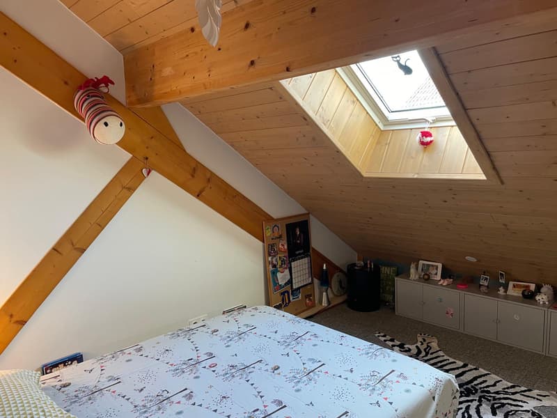 Maison d'architecte en bois (5)