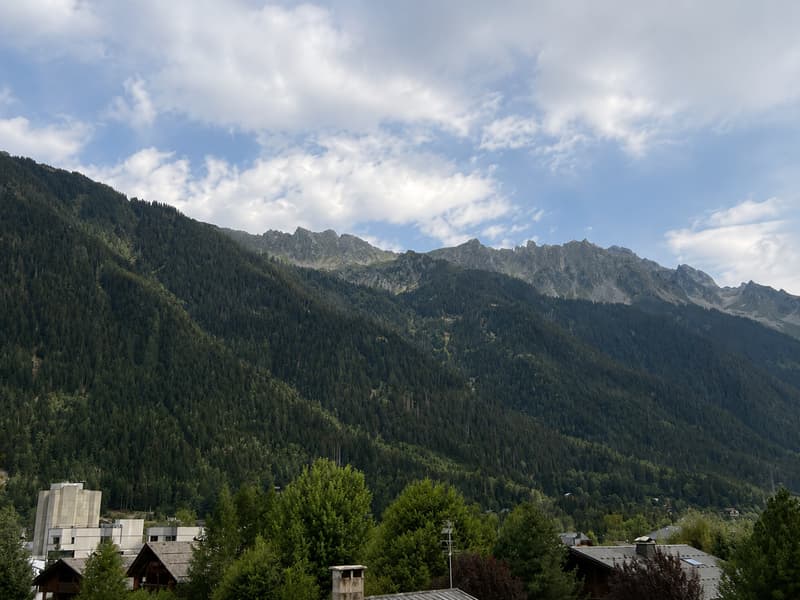 CHAMONIX   LES PLANARDS | 52 M²   DEUX BALCONS   VUES MONT-BLANC (5)