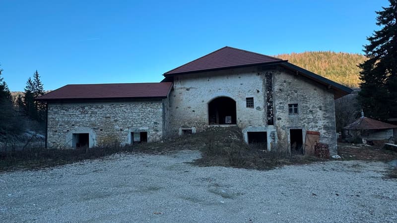 FERME REHABILITEE PROJET D'INVESTISSEMENT À FORT POTENTIEL PERMIS PURGÉ 7 LOGEMENTS (7)