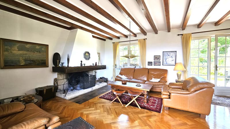 Propriété avec 2 maisons + sous-sol - Hauteur GRILLY Vue Mont-Blanc (8)