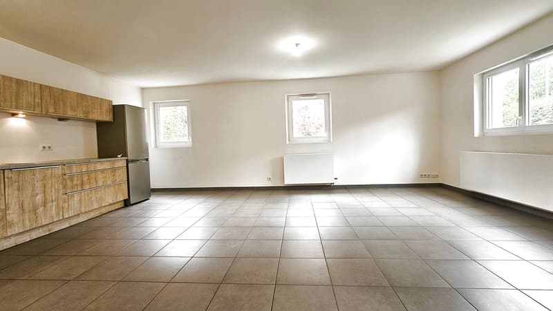 Peron, T3 de 76m2 avec terrasse/jardin 103m2, cave et 2 parkings (4)