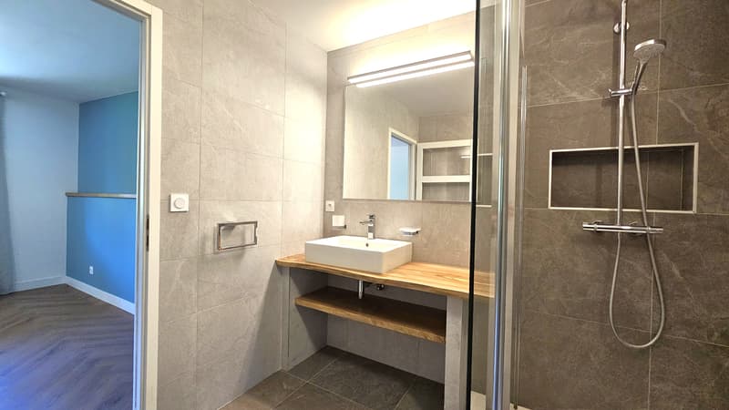 Divonne, duplex en RDJ de 225m2 de type 6 dans ferme Gessienne rénovée (9)