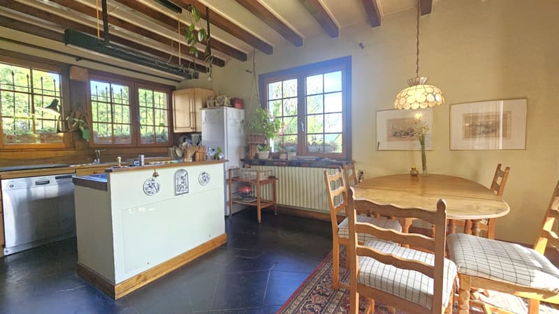 Propriété avec 2 maisons + sous-sol - Hauteur GRILLY   Vue Mont-Blanc (11)