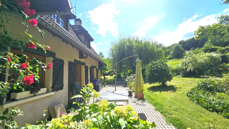 Propriété avec 2 maisons + sous-sol - Hauteur GRILLY   Vue Mont-Blanc (5)