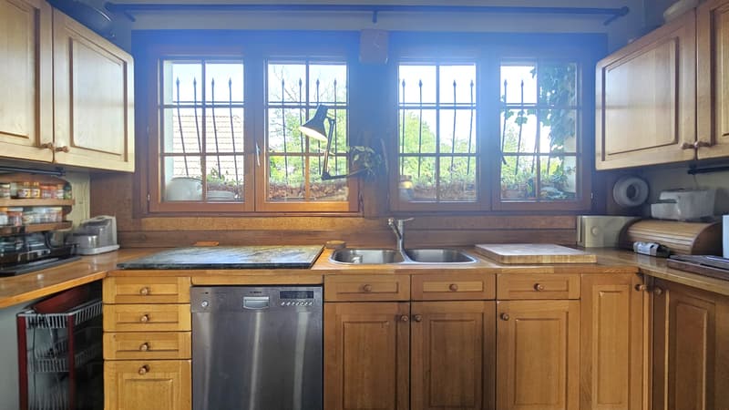 Propriété avec 2 maisons + sous-sol - Hauteur GRILLY   Vue Mont-Blanc (12)