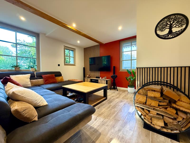 Un appartement plein de charme avec jardin privatif à Thonon-les-Bains (5)