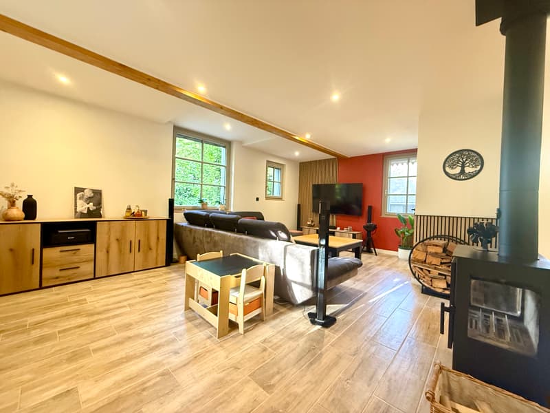 Un appartement plein de charme avec jardin privatif à Thonon-les-Bains (4)
