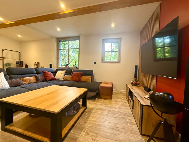 Un appartement plein de charme avec jardin privatif à Thonon-les-Bains (6)