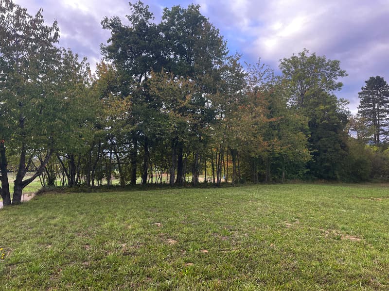 Terrain à bâtir à Prévessin (1)