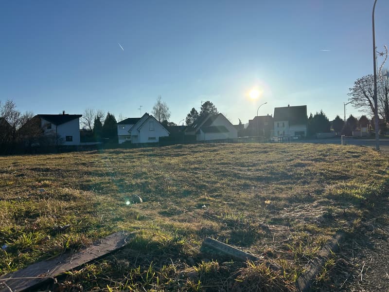 open space, few houses in the background, clear blue sky, green grass, few bare trees