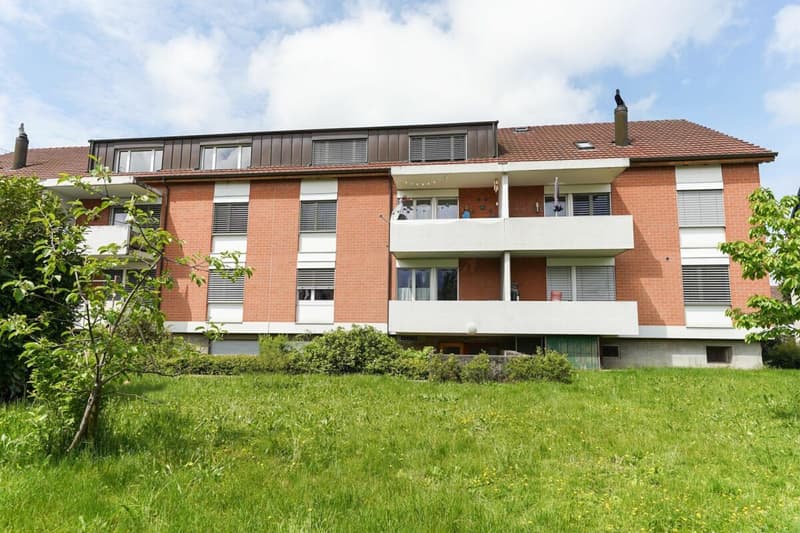 Appartamento mansardato di 4,5 locali a Reinach (18)