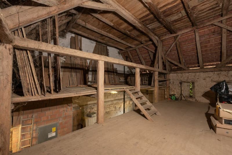 Farmhouse with outbuilding (28)