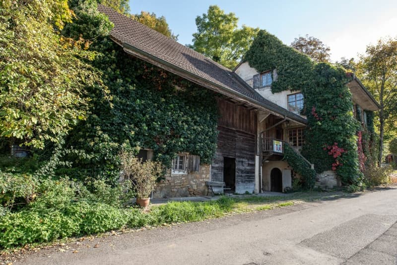 Farmhouse with outbuilding (2)
