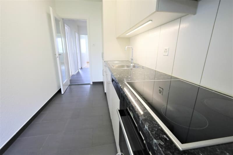 Appartements modernes dans une propriété rénovée dans le quartier de Längi (2)