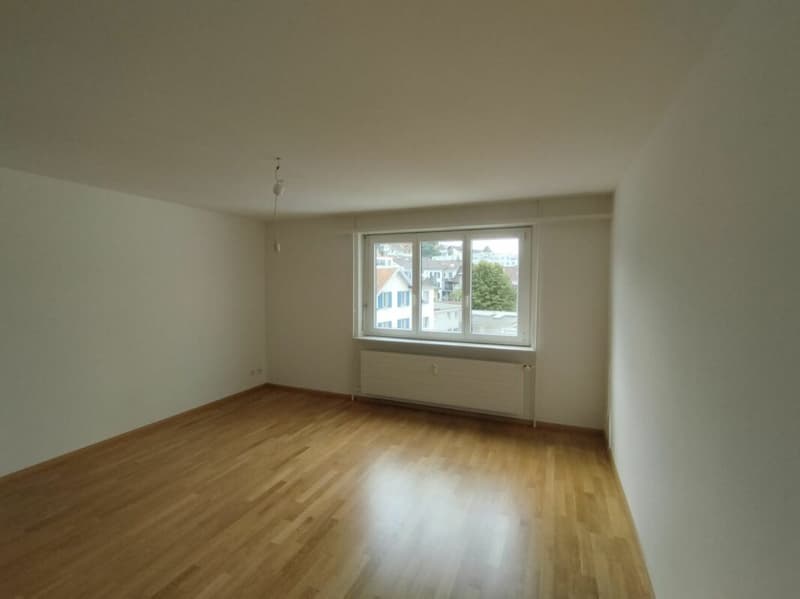 Appartamento monostanza a Binningen (2)