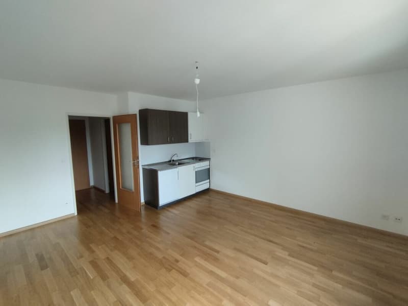Appartamento monostanza a Binningen (4)