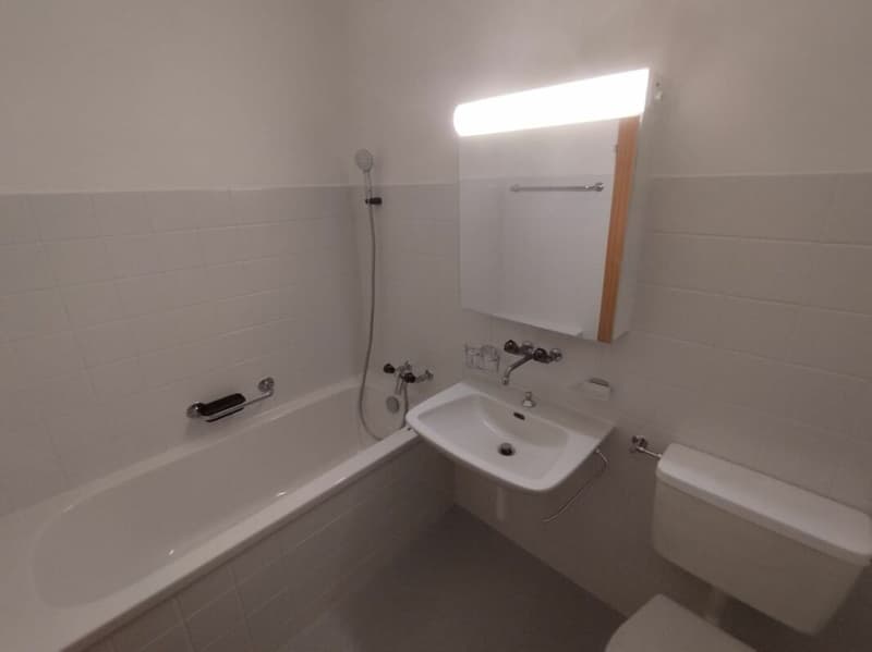 Appartamento monostanza a Binningen (5)