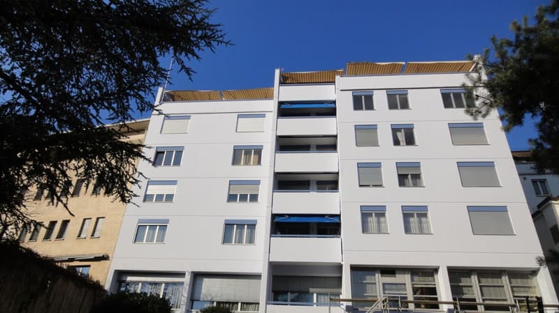 Commerciale/Ufficio/Magazzino a Binningen (16)