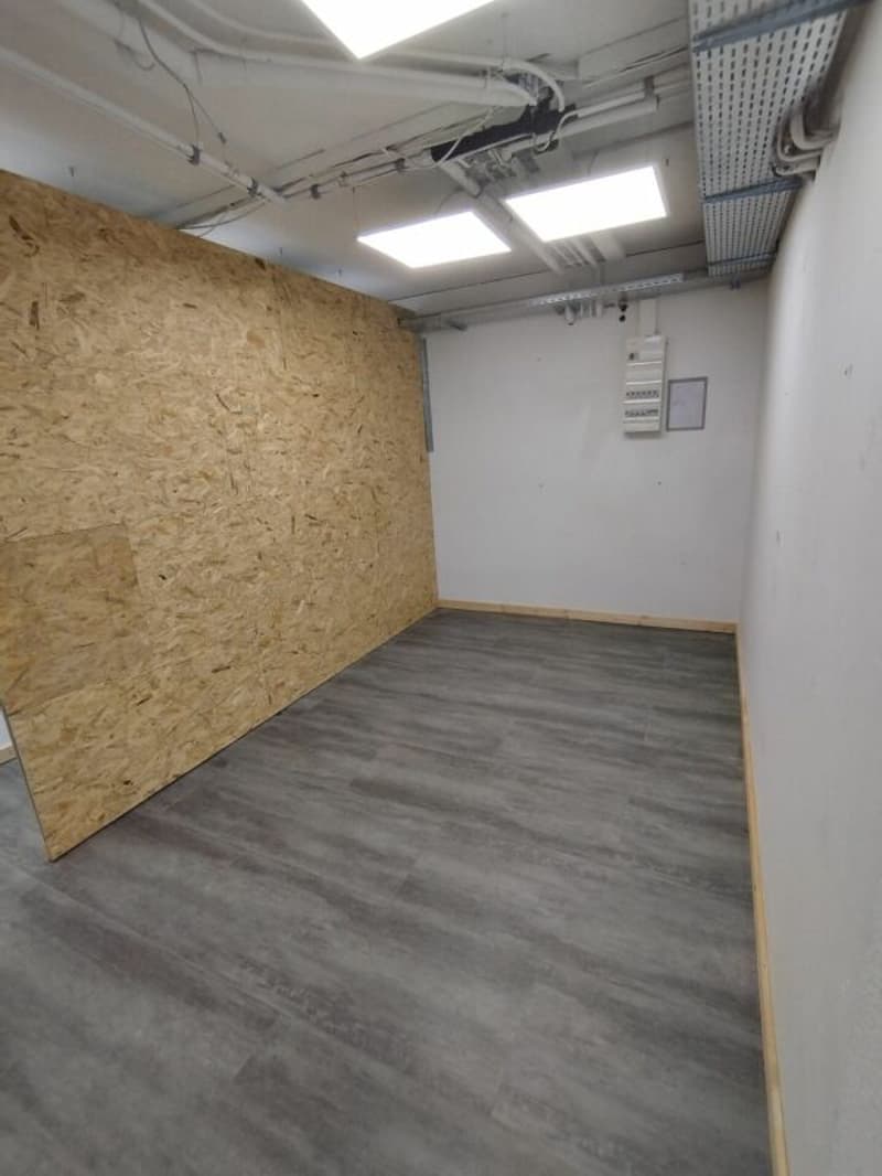 Commerciale/Ufficio/Magazzino a Binningen (9)