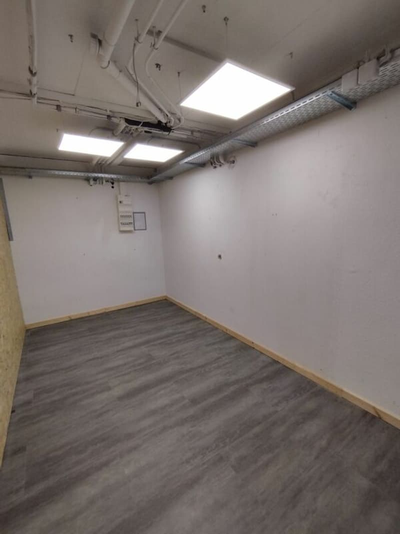 Commerciale/Ufficio/Magazzino a Binningen (8)