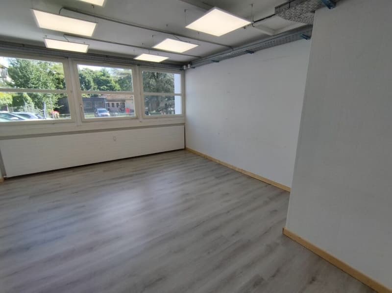 Commerciale/Ufficio/Magazzino a Binningen (10)
