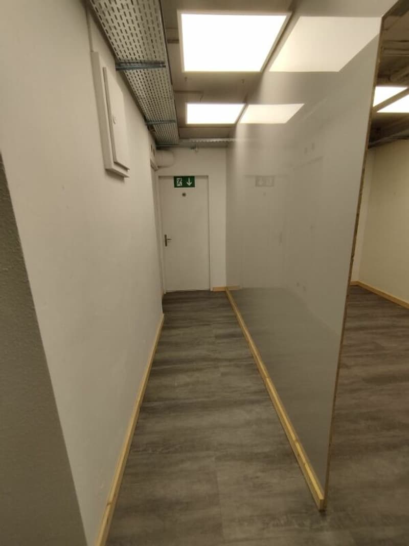 Commerciale/Ufficio/Magazzino a Binningen (4)