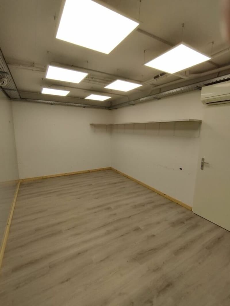 Commerciale/Ufficio/Magazzino a Binningen (5)