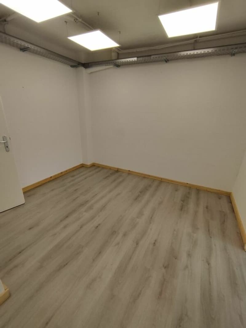 Commerciale/Ufficio/Magazzino a Binningen (6)