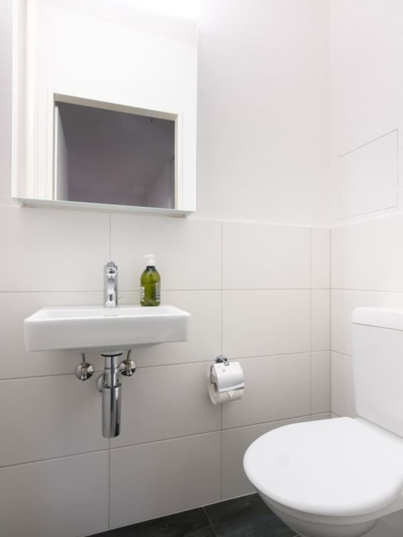 Appartamento di 5.5 locali con piscina in giardino (10)