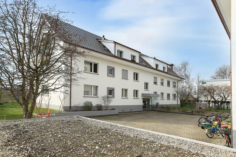 3.5-Room Attic Apartment in Basel (1)
